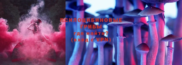 марки lsd Кинешма